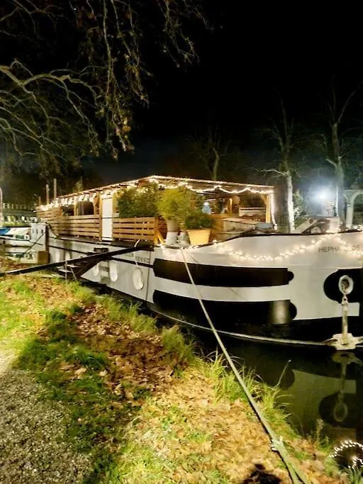Peniche Chaleureuse Avec Jacuzzi Toulouse Centre Hotel Botel