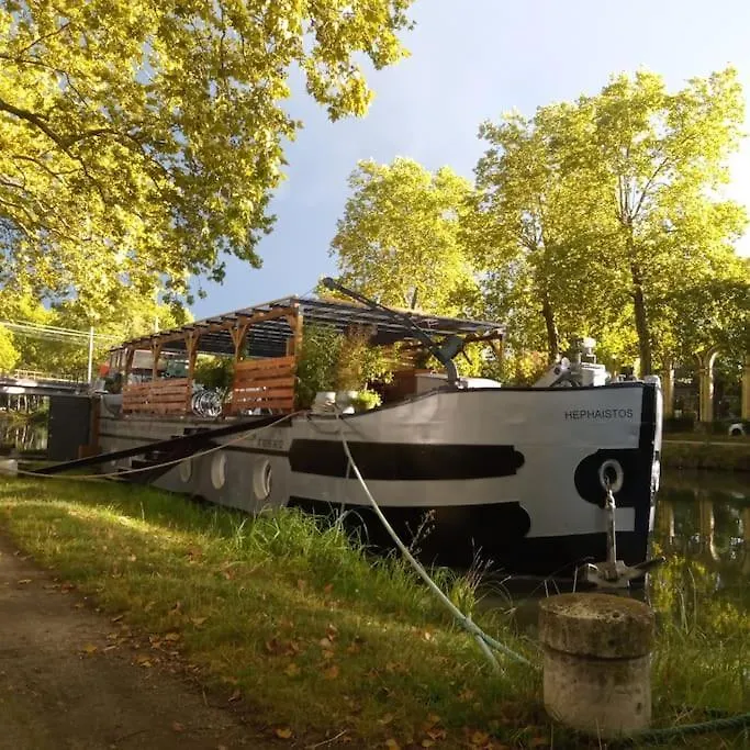 Peniche Chaleureuse Avec Jacuzzi Toulouse Centre Hotel Botel